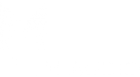 LM Audio